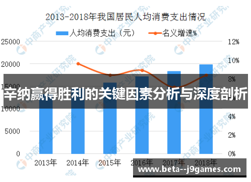 辛纳赢得胜利的关键因素分析与深度剖析
